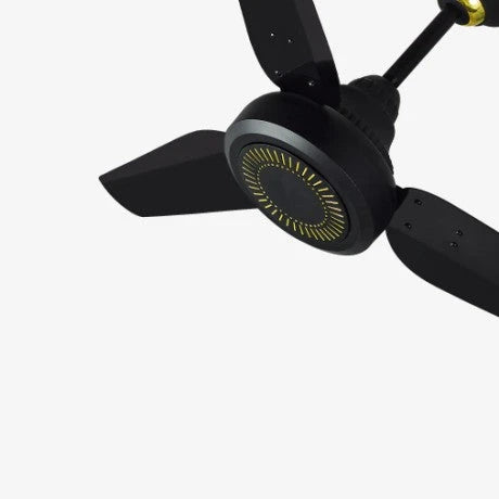 Ceiling Fans