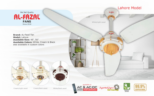 Lahore Model