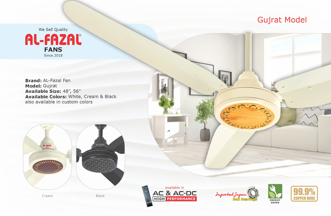 Gujrat Model