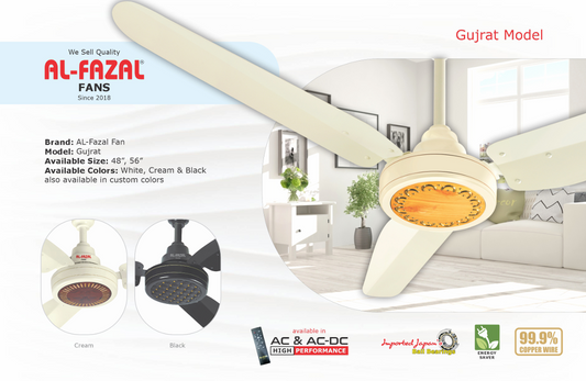 Gujrat Model